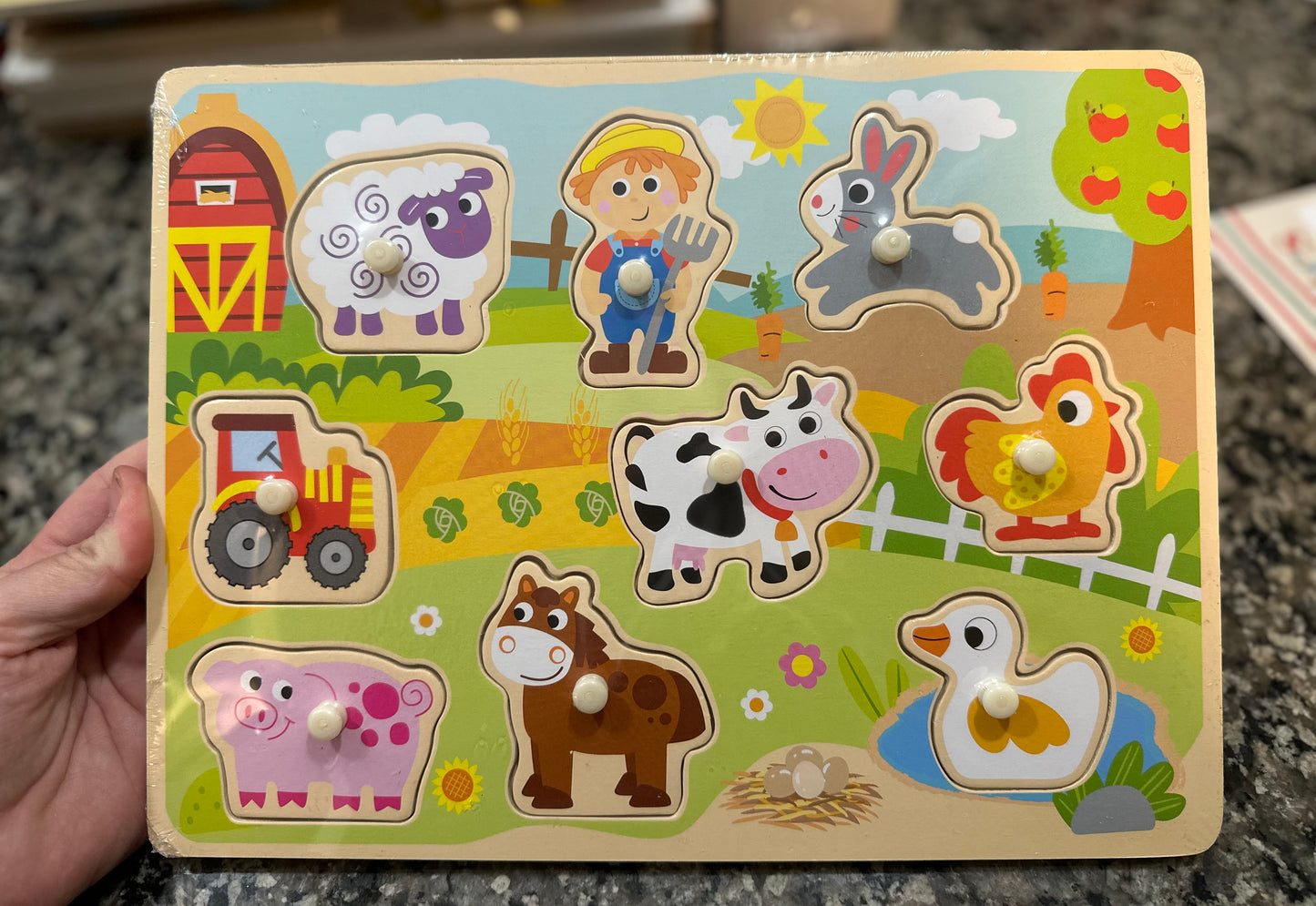 Wooden Peg Puzzle