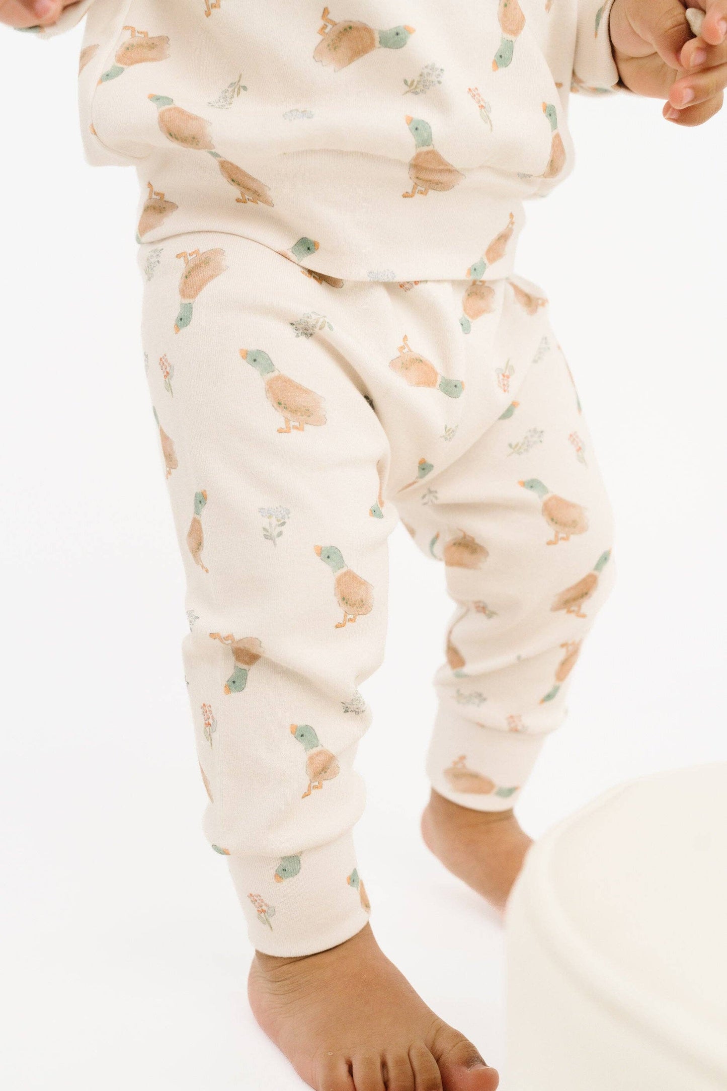 Little Mallard Duck Crewneck Set