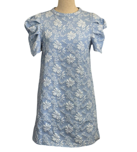 Garden Party Puff Sleeve Mini Dress